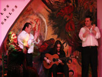 flamencotickets.com